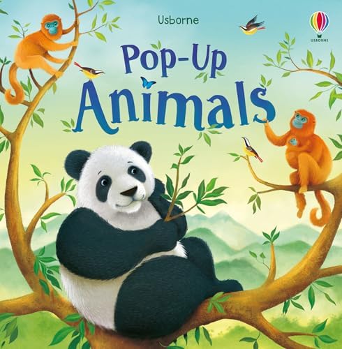 Pop-Up Garden: Watt, Fiona: 9781409590347: Amazon.com: Books